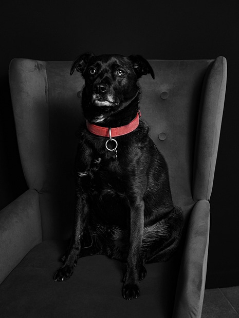 Arlo