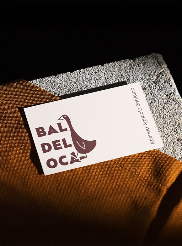 bal del oca brand identity 1