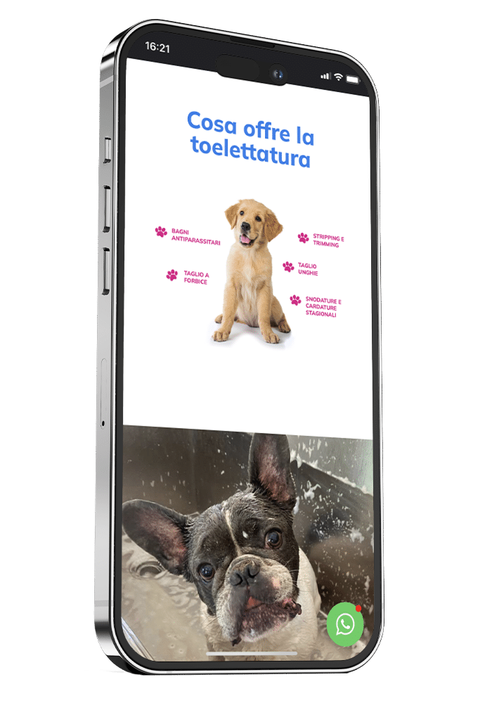 clinica del cane web mobile 02